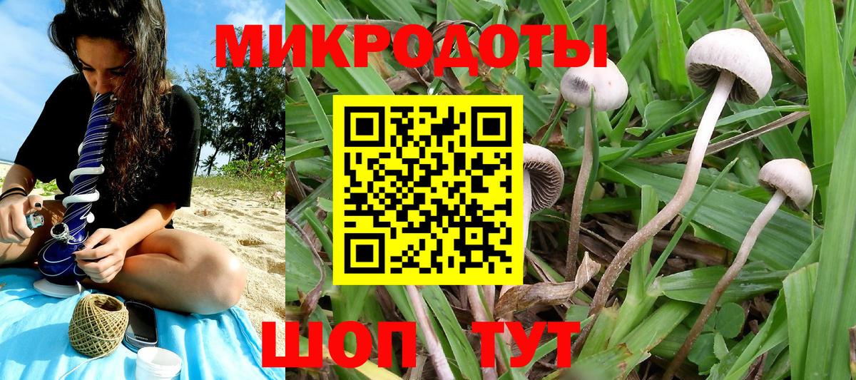 Псилоцибиновые грибы Cubensis  Вход с VPN  Саяногорск 