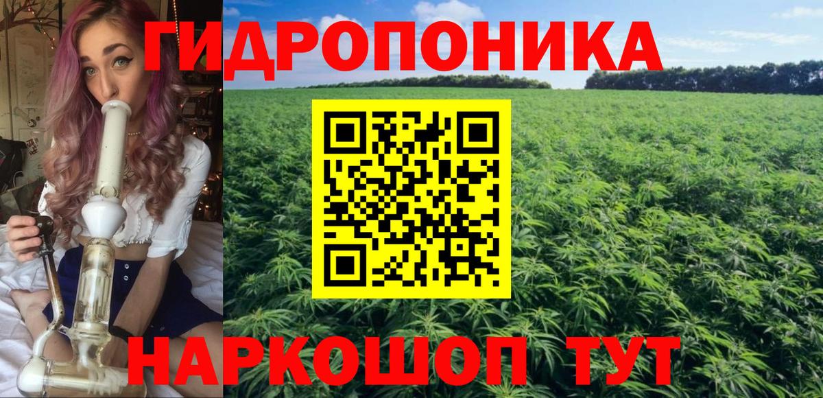 Марихуана LSD WEED  Бошки марихуана планчик  Саяногорск  Вход с VPN  Конопля AK-47 